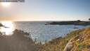 ./images/calvert/foggy-cove/20260611/foggy-cove20260611_200501M.jpg