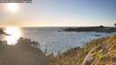 ./images/calvert/foggy-cove/20260611/foggy-cove20260611_202001M.jpg