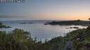 ./images/calvert/foggy-cove/20260612/foggy-cove20260612_044501M.jpg