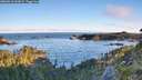 ./images/calvert/foggy-cove/20260612/foggy-cove20260612_062002M.jpg