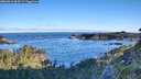 ./images/calvert/foggy-cove/20260612/foggy-cove20260612_064501M.jpg