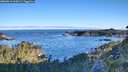 ./images/calvert/foggy-cove/20260612/foggy-cove20260612_065001M.jpg