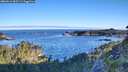 ./images/calvert/foggy-cove/20260612/foggy-cove20260612_065501M.jpg