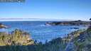 ./images/calvert/foggy-cove/20260612/foggy-cove20260612_070002M.jpg