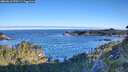 ./images/calvert/foggy-cove/20260612/foggy-cove20260612_070501M.jpg