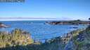 ./images/calvert/foggy-cove/20260612/foggy-cove20260612_072001M.jpg