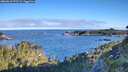 ./images/calvert/foggy-cove/20260612/foggy-cove20260612_072501M.jpg