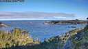./images/calvert/foggy-cove/20260612/foggy-cove20260612_073001M.jpg