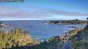 ./images/calvert/foggy-cove/20260612/foggy-cove20260612_073501M.jpg