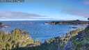 ./images/calvert/foggy-cove/20260612/foggy-cove20260612_074002M.jpg
