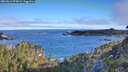 ./images/calvert/foggy-cove/20260612/foggy-cove20260612_074502M.jpg