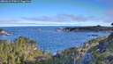 ./images/calvert/foggy-cove/20260612/foggy-cove20260612_075002M.jpg