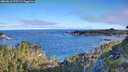 ./images/calvert/foggy-cove/20260612/foggy-cove20260612_075501M.jpg