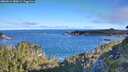 ./images/calvert/foggy-cove/20260612/foggy-cove20260612_080001M.jpg
