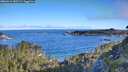 ./images/calvert/foggy-cove/20260612/foggy-cove20260612_080501M.jpg
