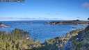 ./images/calvert/foggy-cove/20260612/foggy-cove20260612_081001M.jpg