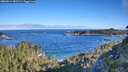 ./images/calvert/foggy-cove/20260612/foggy-cove20260612_081501M.jpg