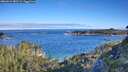 ./images/calvert/foggy-cove/20260612/foggy-cove20260612_082501M.jpg