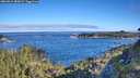 ./images/calvert/foggy-cove/20260612/foggy-cove20260612_083001M.jpg
