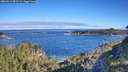 ./images/calvert/foggy-cove/20260612/foggy-cove20260612_083501M.jpg