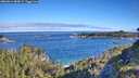 ./images/calvert/foggy-cove/20260612/foggy-cove20260612_084001M.jpg