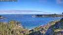 ./images/calvert/foggy-cove/20260612/foggy-cove20260612_084501M.jpg
