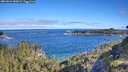 ./images/calvert/foggy-cove/20260612/foggy-cove20260612_085001M.jpg
