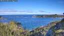 ./images/calvert/foggy-cove/20260612/foggy-cove20260612_085501M.jpg