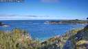 ./images/calvert/foggy-cove/20260612/foggy-cove20260612_090001M.jpg