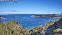 ./images/calvert/foggy-cove/20260612/foggy-cove20260612_090501M.jpg