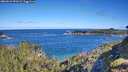 ./images/calvert/foggy-cove/20260612/foggy-cove20260612_091002M.jpg