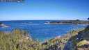 ./images/calvert/foggy-cove/20260612/foggy-cove20260612_091501M.jpg