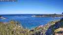 ./images/calvert/foggy-cove/20260612/foggy-cove20260612_093001M.jpg
