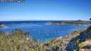 ./images/calvert/foggy-cove/20260612/foggy-cove20260612_094002M.jpg