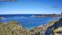 ./images/calvert/foggy-cove/20260612/foggy-cove20260612_094501M.jpg