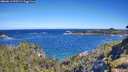 ./images/calvert/foggy-cove/20260612/foggy-cove20260612_095501M.jpg
