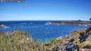 ./images/calvert/foggy-cove/20260612/foggy-cove20260612_101001M.jpg