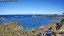 ./images/calvert/foggy-cove/20260612/foggy-cove20260612_101501M.jpg