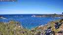./images/calvert/foggy-cove/20260612/foggy-cove20260612_102001M.jpg
