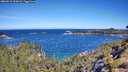 ./images/calvert/foggy-cove/20260612/foggy-cove20260612_103002M.jpg