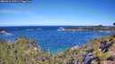 ./images/calvert/foggy-cove/20260612/foggy-cove20260612_104501M.jpg