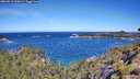 ./images/calvert/foggy-cove/20260612/foggy-cove20260612_105001M.jpg