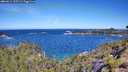 ./images/calvert/foggy-cove/20260612/foggy-cove20260612_105501M.jpg