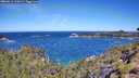 ./images/calvert/foggy-cove/20260612/foggy-cove20260612_110001M.jpg