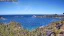 ./images/calvert/foggy-cove/20260612/foggy-cove20260612_110501M.jpg
