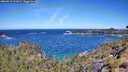 ./images/calvert/foggy-cove/20260612/foggy-cove20260612_111001M.jpg