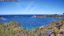 ./images/calvert/foggy-cove/20260612/foggy-cove20260612_111502M.jpg