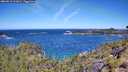 ./images/calvert/foggy-cove/20260612/foggy-cove20260612_112001M.jpg