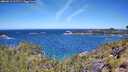 ./images/calvert/foggy-cove/20260612/foggy-cove20260612_112501M.jpg