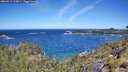 ./images/calvert/foggy-cove/20260612/foggy-cove20260612_113001M.jpg